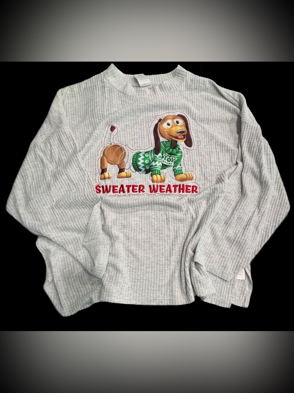 DISNEY TOY STORY SLINK’S Long Sleeve Gray Waffle Sweatshirt Size 1X